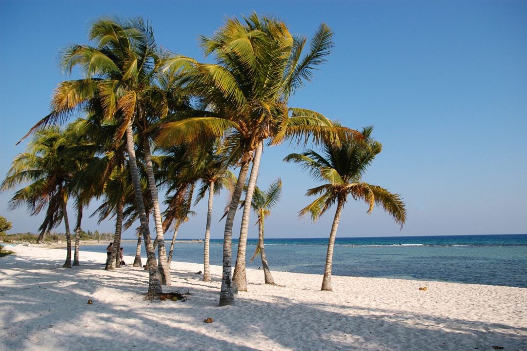 Cubaprovincia di MatanzasBaia dei PorciPlaya Gironspiaggiapalme