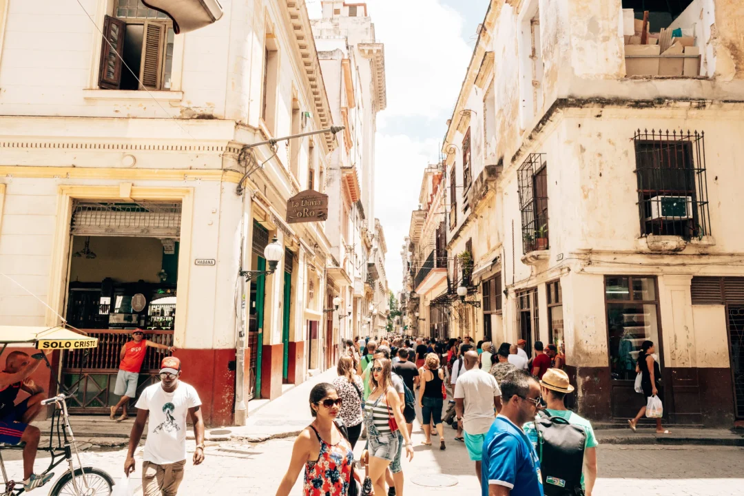 DSC07611_2017_5450 (1)