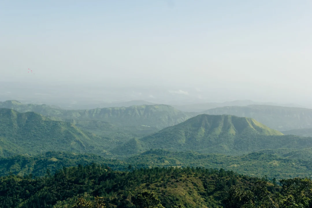Santiago de Cuba Gran Piedra flowers coffee-6