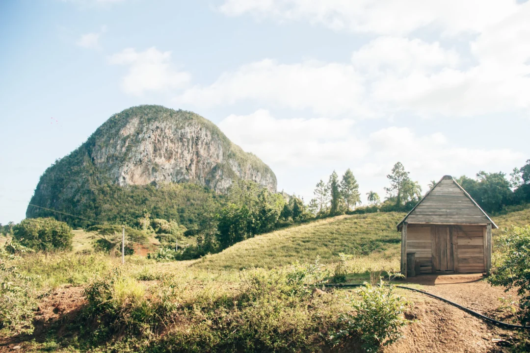 Viñales-Expérience-Abenteuer-Ferme-Cheval-6