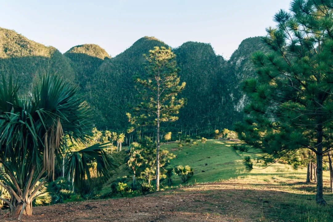 Viñales-Puerto Esperanza-Cayo Jutia 2022-142