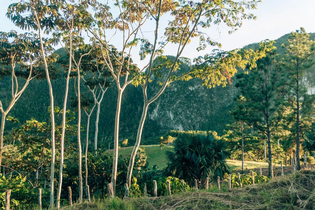 Viñales-Puerto Esperanza-Cayo Jutia 2022-148
