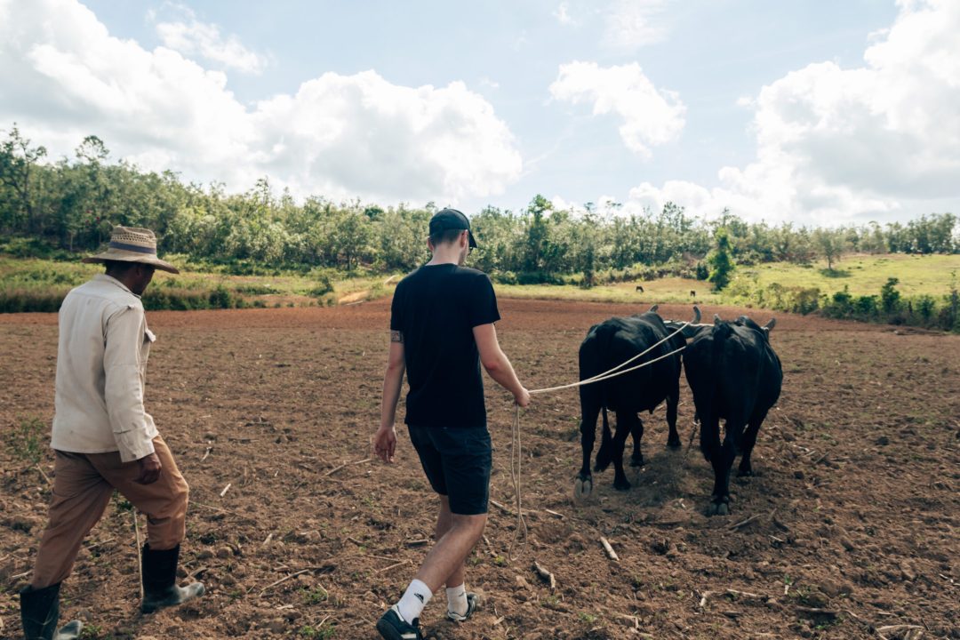 Viñales-Puerto Esperanza-Cayo Jutia 2022-29