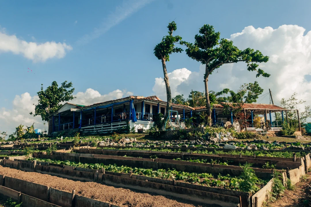 Viñales-Puerto Esperanza-Cayo Jutia 2022-98