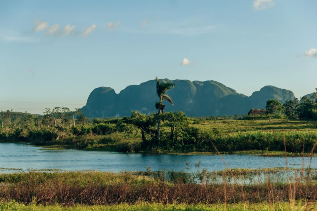 Viñales