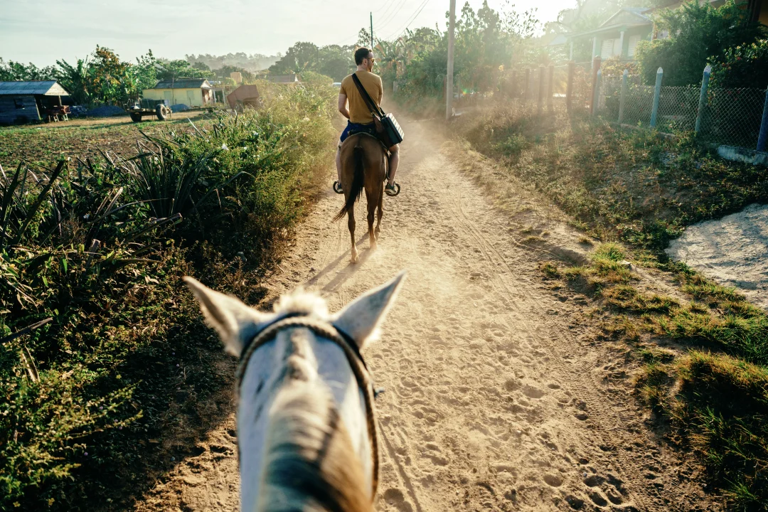 cubabuddy-02557_2017_6670 (1)