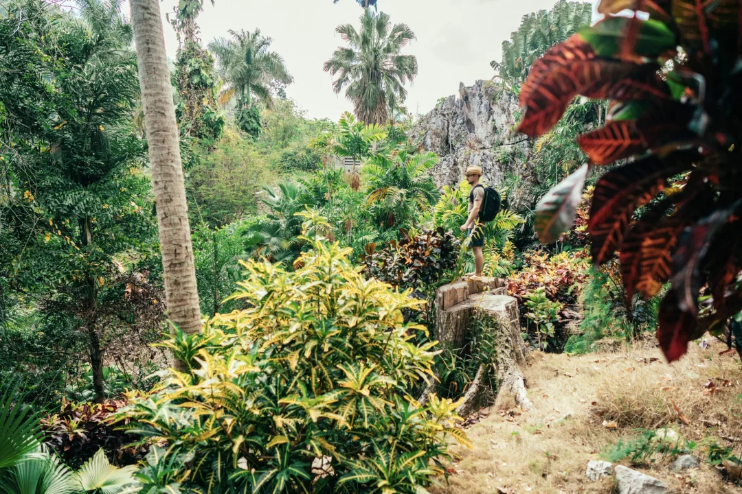 cubabuddy-03176_2017_6292