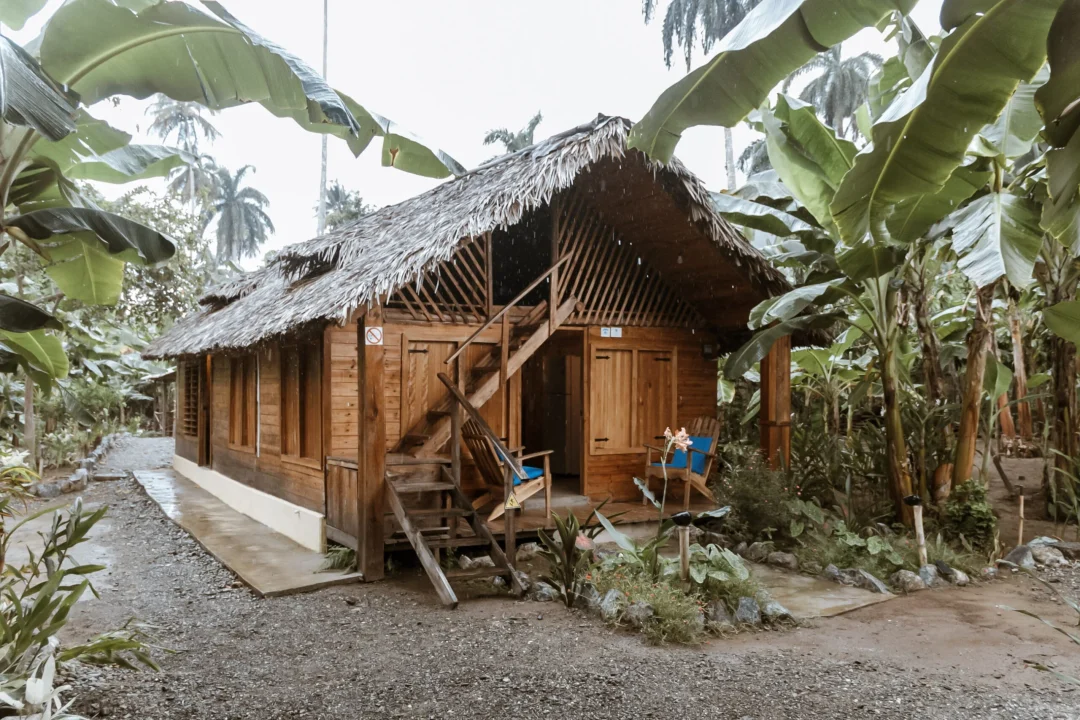 kuba-dschungelhaus