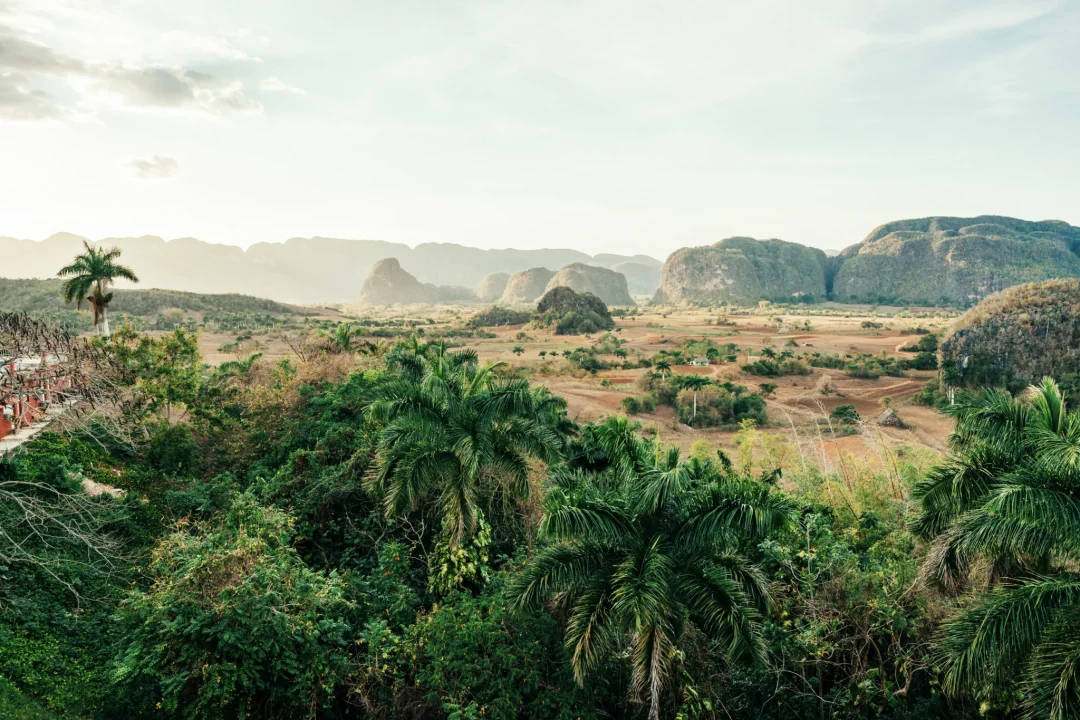 mogote-natur-vinalestal-cuba-buddy-2048x1366